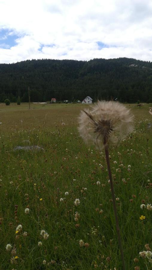 Vikendica Borje Villa Žabljak Kültér fotó