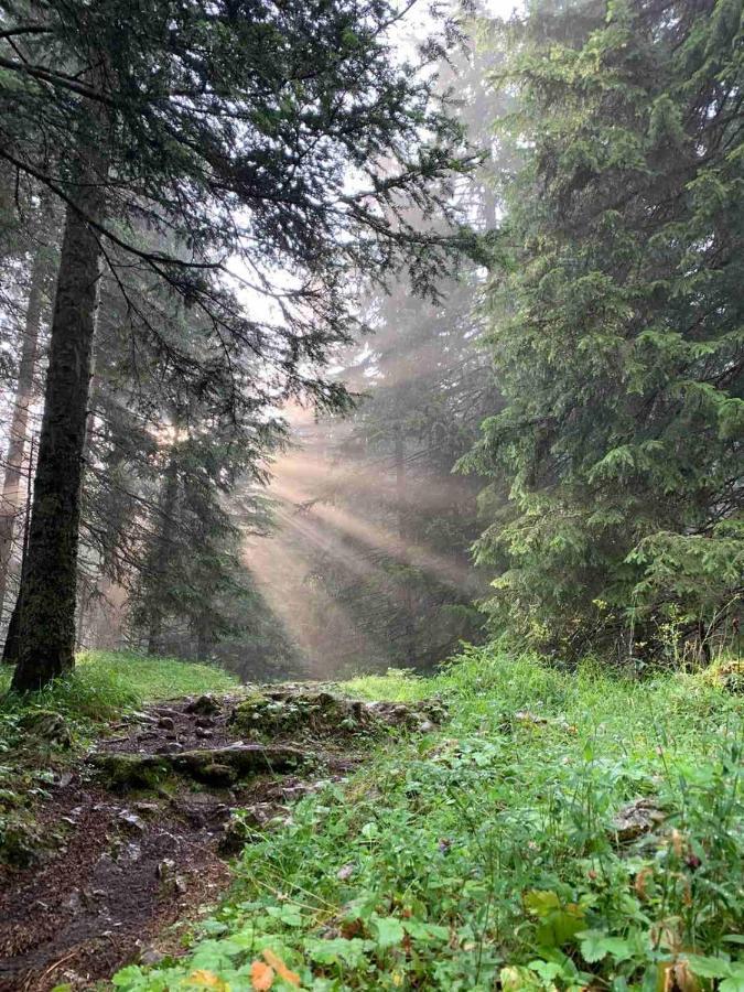 Vikendica Borje Villa Žabljak Kültér fotó